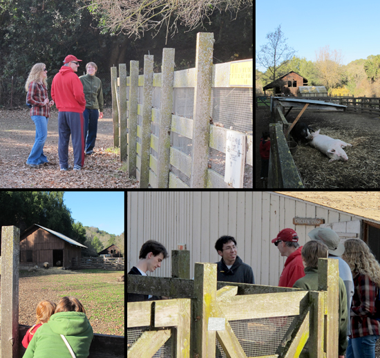 Herschlag Research Group visits the Deer Hollow Farm, Rancho San Antonio Open Space Preserve