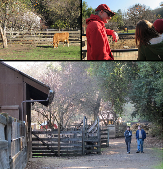 Herschlag Research Group visits the Deer Hollow Farm, Rancho San Antonio Open Space Preserve