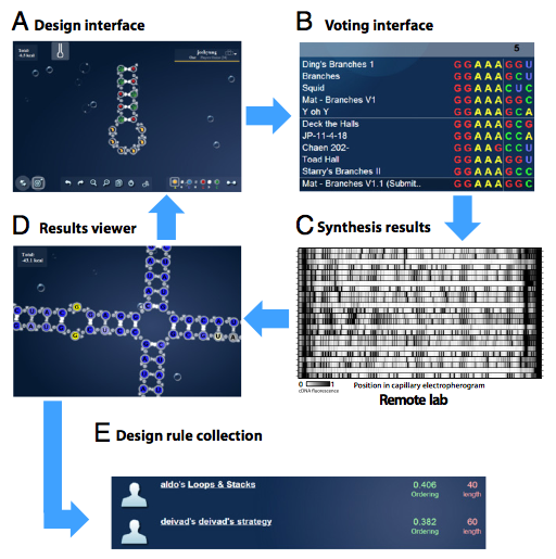 Das Lab Publication Image