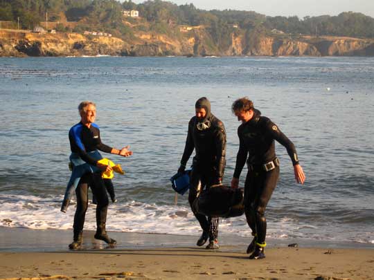 Abalone Trip